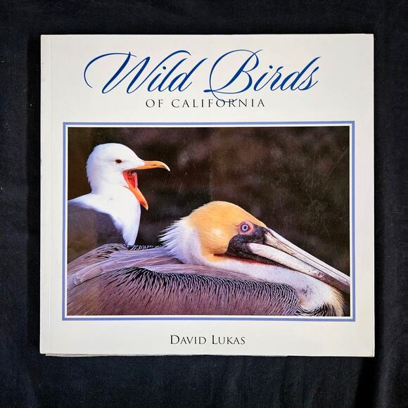 Wild Birds of California By David Luca Paperback - Picture 1 of 8